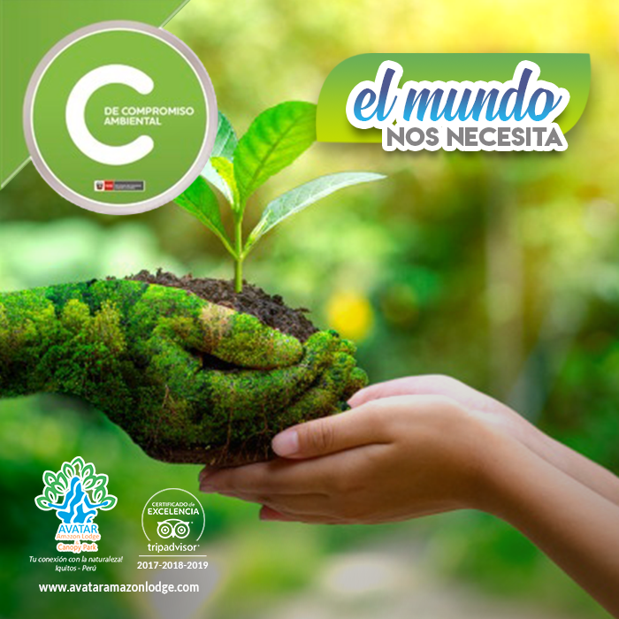 AvatarLodge's tweet photo. La naturaleza aprovecha este tiempo para respirar mejor y brindarnos un aire más puro.  Nosotros igual mantenemos el balance acatando el aislamiento, higiene personal y de nuestros espacios.  ♻️💚🌴 
.
🌎 https://t.co/PMgxTH9jfy 
.
#23Mar #AvatarAmazonLodge #MensajesEcologicos https://t.co/WrgM1odleA