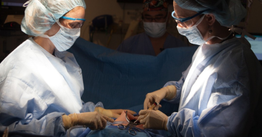 Simulation Exercises for Labor &amp; Delivery w/ coronavirus COVID-19: CMS has created free, open access resources for sim-based training including faculty guides, narrated presentations, team evaluations, and multiple sim cases. Download here: ow.ly/GuOD50ySZIF #FOAM #COVID19