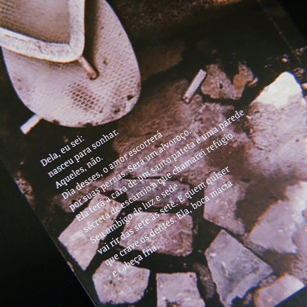 editoracousa's tweet photo. Contracapa de "Rotina dos ossos", livro de poesia de Fabíola Mazzini Disponível aqui: https://t.co/lcADNR39JB https://t.co/HWqpMLwULy