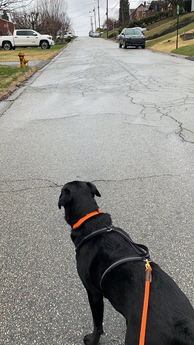 Denise Wells tweet media