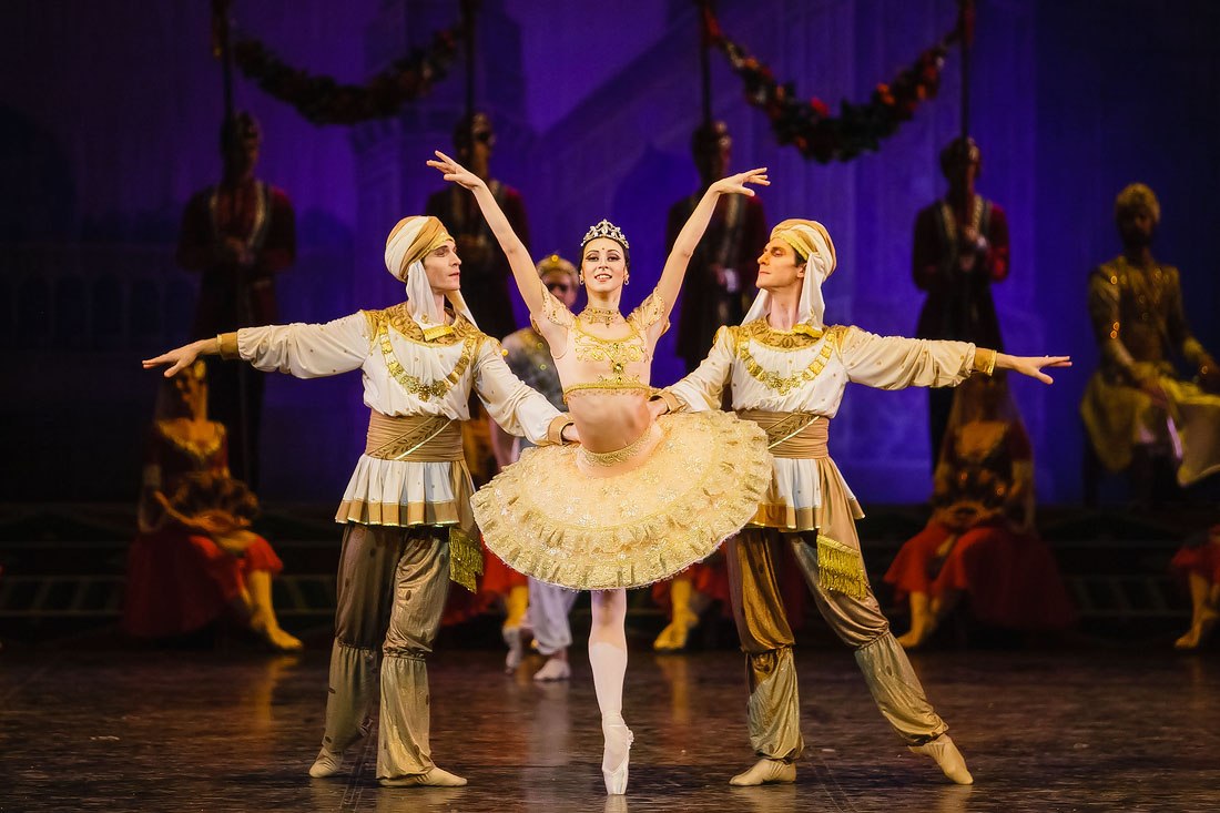 Самарский академический театр оперы и балета разработал программу спектаклей, которые будут доступны на сайте театра и в социальных сетях, оперные солисты готовят концертные номера, планируются онлайн-экскурсии.

Балет "Баядерка": сайт opera-samara.net — 27 марта в 18:30.