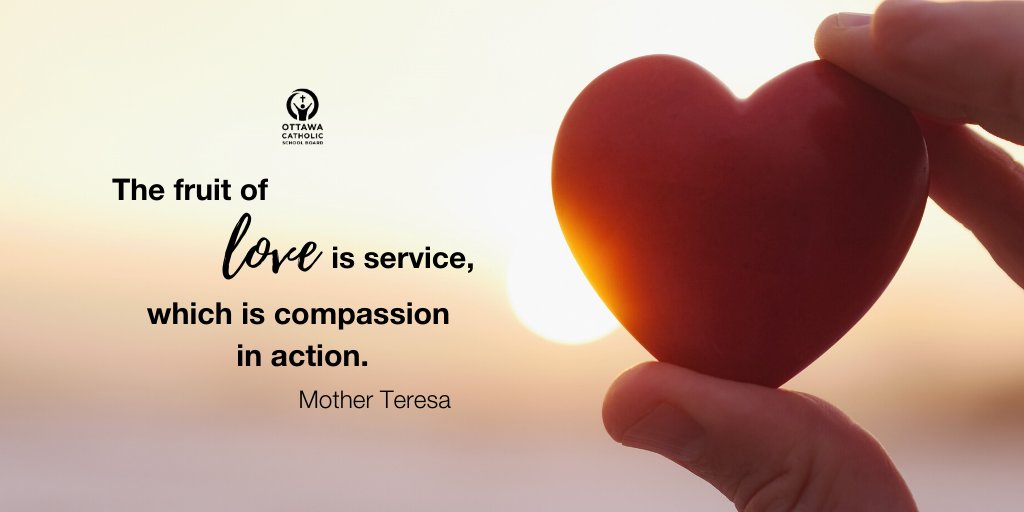 Ottawa Catholic School Board tweet media