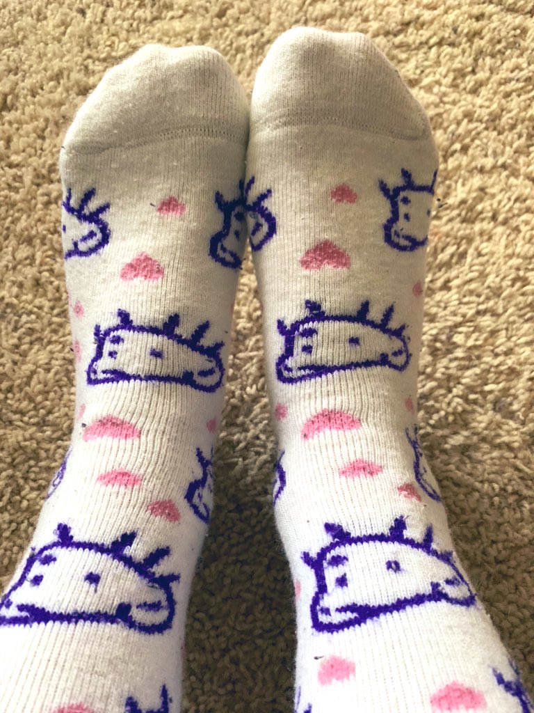 seipgr's tweet photo. At-Home Spirit Week Day 1: Crazy Sock Day! @MadisonsTrust16 #crazysocks https://t.co/fh7tyXAUgL