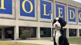 Stay home, stay safe, and celebrate #NationalPuppyDay with your best pal! TOL! #fuelingtomorrows