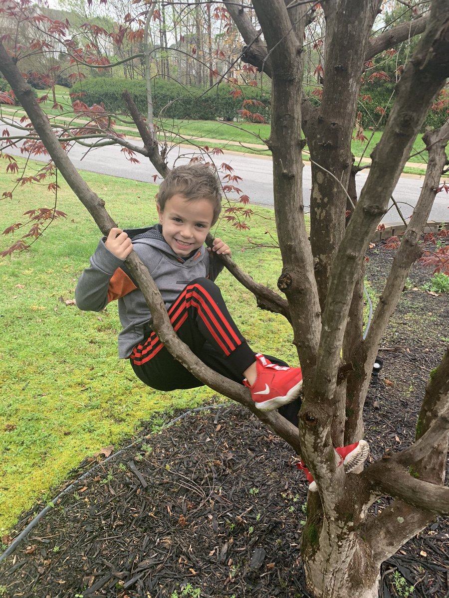 mandypPKES's tweet photo. Mother Nature Monday! #VirtualSpiritWeek #PanthersEngaged https://t.co/DYXLnlIXnA