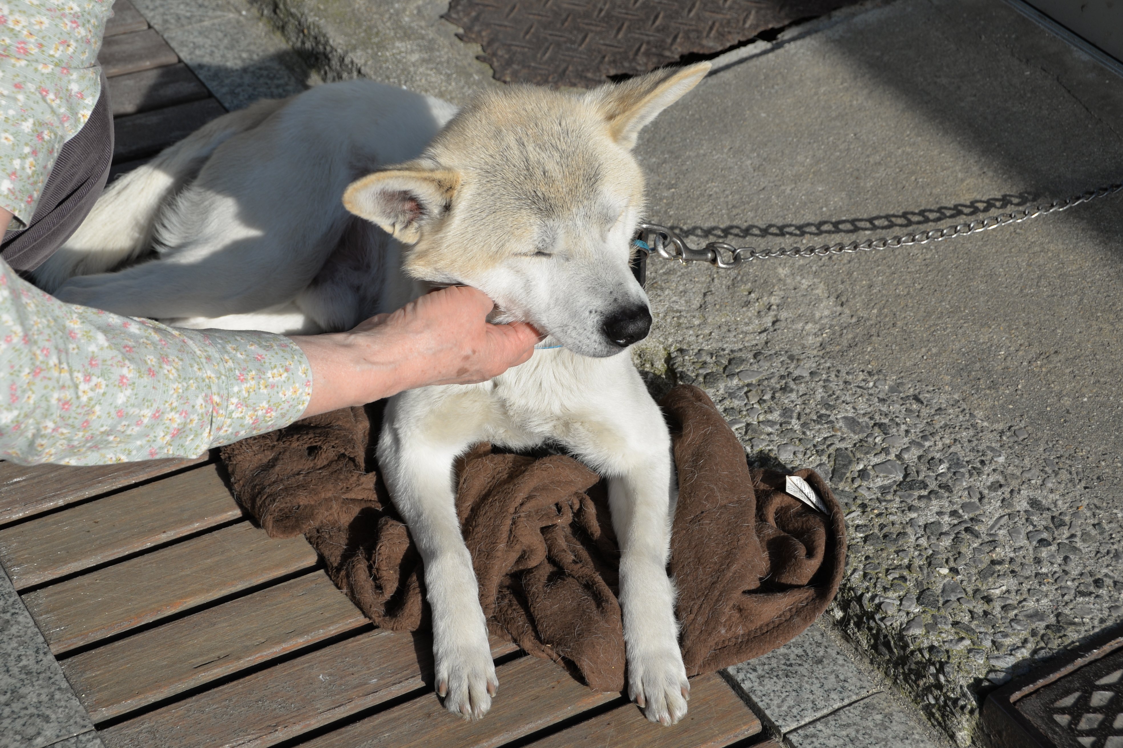 プラマイゼロ 鳥bot 竹原 たまゆら関係 グリーンスカイホテルのたまゆらコーナーに２枚目のチラシ 6 6 12 25にスタンプラリーが 道の駅は２階での展示は減ったけど 看板やポップは変わらず T Co Rsbodbwm4l Twitter