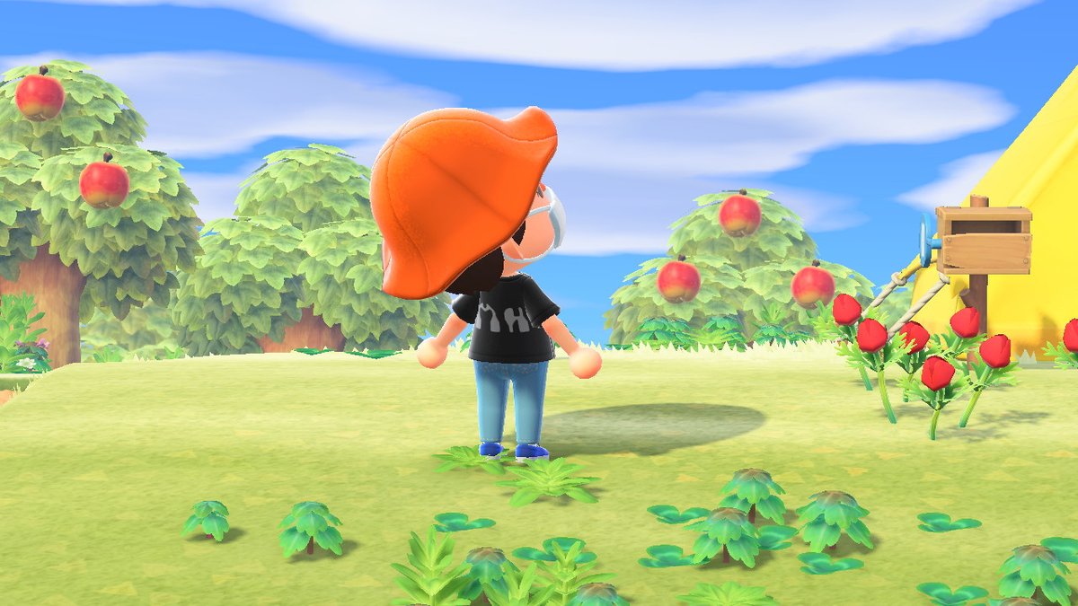 Fliguan35's tweet photo. #MonsterHunter #AnimalCrossing #ACNH #NintendoSwitch https://t.co/qhXXZrtcKi