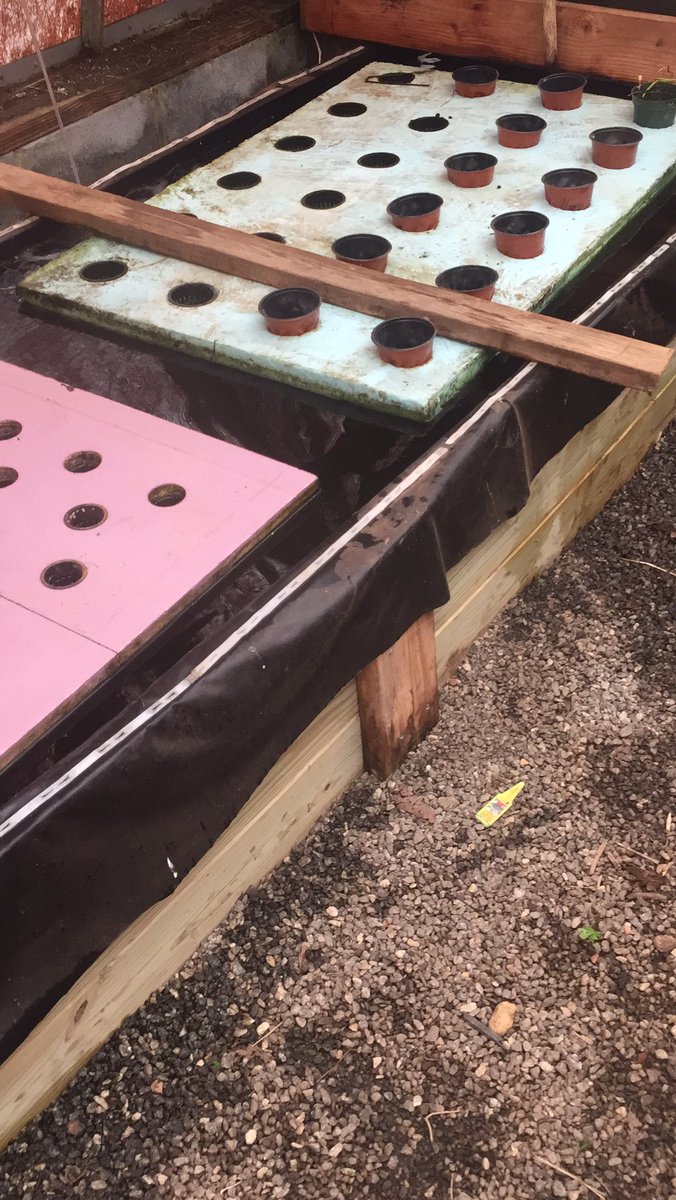 ManSpeagle's tweet photo. Aquaponics going now to https://t.co/BBcrGEKyPv