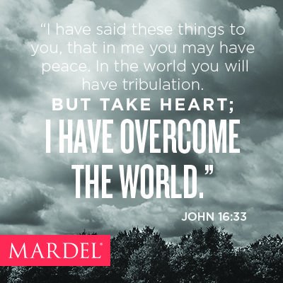 acheckeredflag's tweet image. 