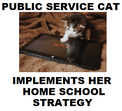civilservicecat's tweet photo. A SCHEDULE IS JUST A COLOURFUL PAIR OF HANDCUFFS
#homeschooling 
#someofitiseducational
#thekidsneedabreakfromtheirbreak
#thatsthewrongArthur
#nowecantgetdisneyplus
#ifitstopsjustpressspacebar
#justwatchsomething
#leavemealone
#homeschoolfail 
#WorkFromHome https://t.co/2rGQTwO9J7