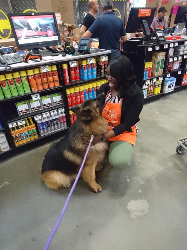 SheenaShante's tweet photo. # NationalPuppyDay #HomeDepotFurryFriends ❤️❤️ https://t.co/DE3Yz3tKBL