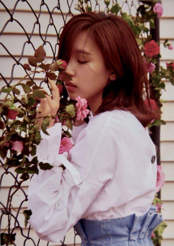 Su23803511's tweet photo. Chúc mừng sinh nhật Chị iu
Yêu Chị nhiều
#HappyMinaDay
#AngelMinaDay https://t.co/yOKBkdfI1O