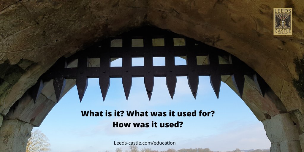 A great research idea for tomorrow. Either type up your answers in the comments or take a photo of some writing or drawings you have done.
And please share this post too!

#homelearning #closetheschoolsuk #freeresources #ks1resources #ks2resources #EYFSresources