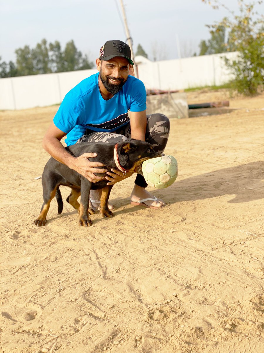 MdShami11's tweet photo. Having the most amazing time with my lil buddy, Jack. https://t.co/Ojiy5U8fwn