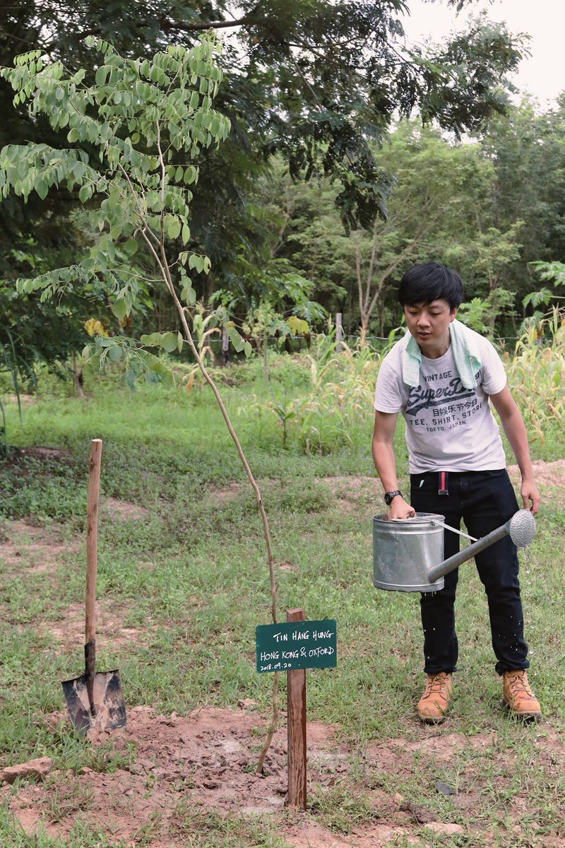 MacKay_Lab's tweet photo. A big hello from @hung_thh! My research explores how current and future climates relate to genomic and adaptive changes in #Dalbergia rosewoods in SE Asia. Rosewoods are the world’s most illegally trafficked wild product. 🌳 https://t.co/1NzzBOAmAn