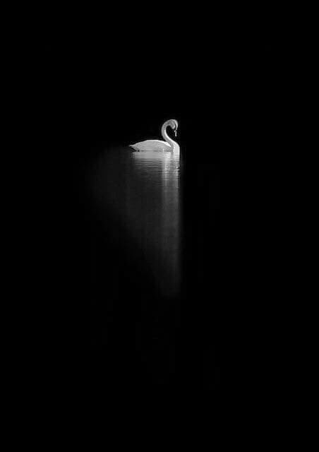 BralSchool's tweet photo. We can be for others like a glimpse of light in darkness https://t.co/SWfb46Yx77