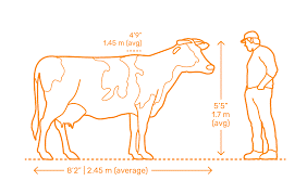 theBCVA's tweet photo. This pandemic experience is a challenge in collective responsibility &amp; collaboration. Luckily, the farm vet profession and its farming communities have these relationships already. Let’s keep caring for each other by keeping our distance. 2 Metres is all it takes. Please share. https://t.co/0T4cxhfNId