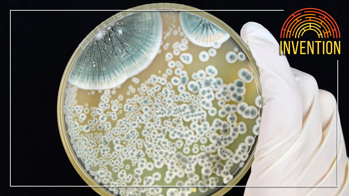 Invention Classic: Penicillin megaphone.link/invention

A fungal accident in the early 20th century opened the door for the medical wonders of the antibiotic age. In this episode, learn what came before and how Alexander Fleming’s discovery changed the world. (Published 7/15/19)