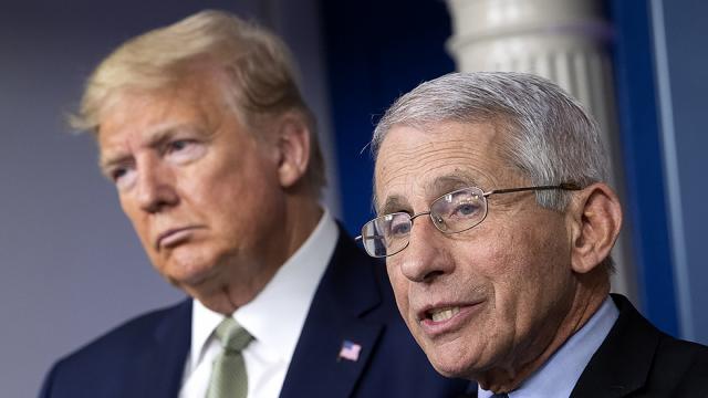 The Hill tweet media