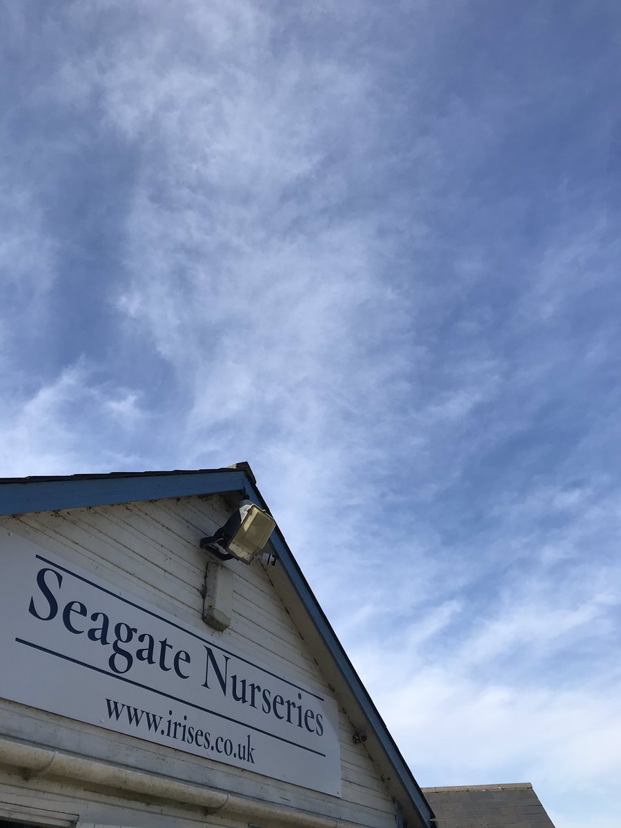 IrisesSeagate's tweet image. Plans made in winter for the new signs seem so long ago now but glad they are up today and we hope this will benefit us as we introduce lots of great plants to our selection! #newsigns #keeplookingforward #perennials #irises #seagatenurseries #lincolnshire