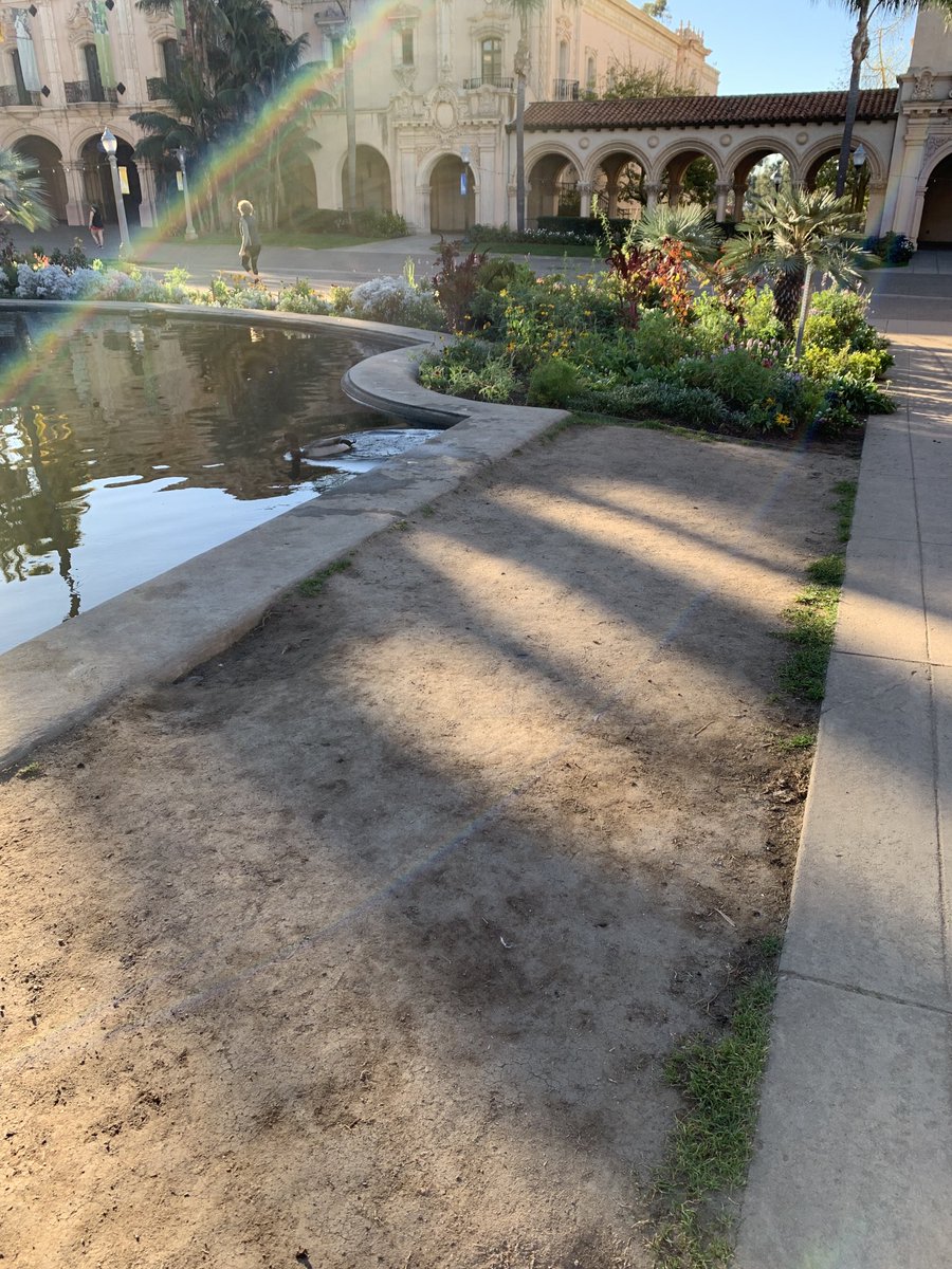 ShawninSanDiego's tweet photo. Please direct our Parks Department to lay down sod around the Lily Pond, using public quarantine time wisely (if permissible), and repair their absolute neglect to our city park.  It’s been like this since December Nights.  ⁦@SDMayorsOffice⁩ ⁦@BalboaPark⁩ # https://t.co/JHHnxLlutj
