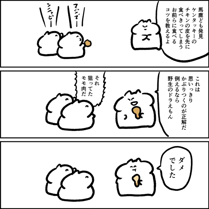 ケンタッキー 