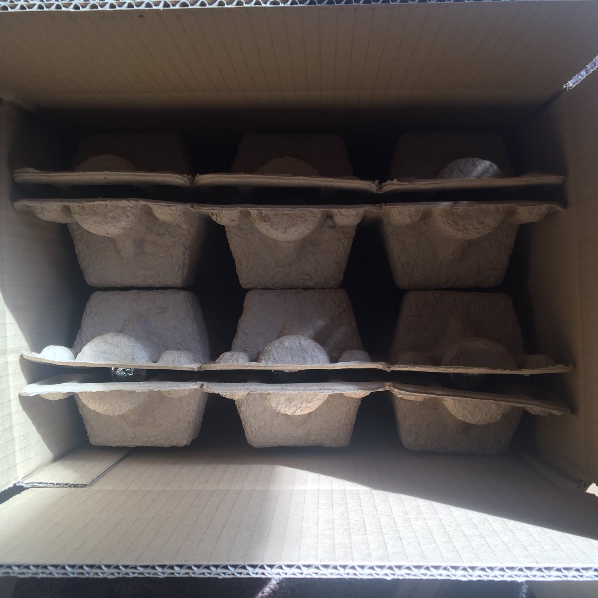 Just Perfect Wines tweet media