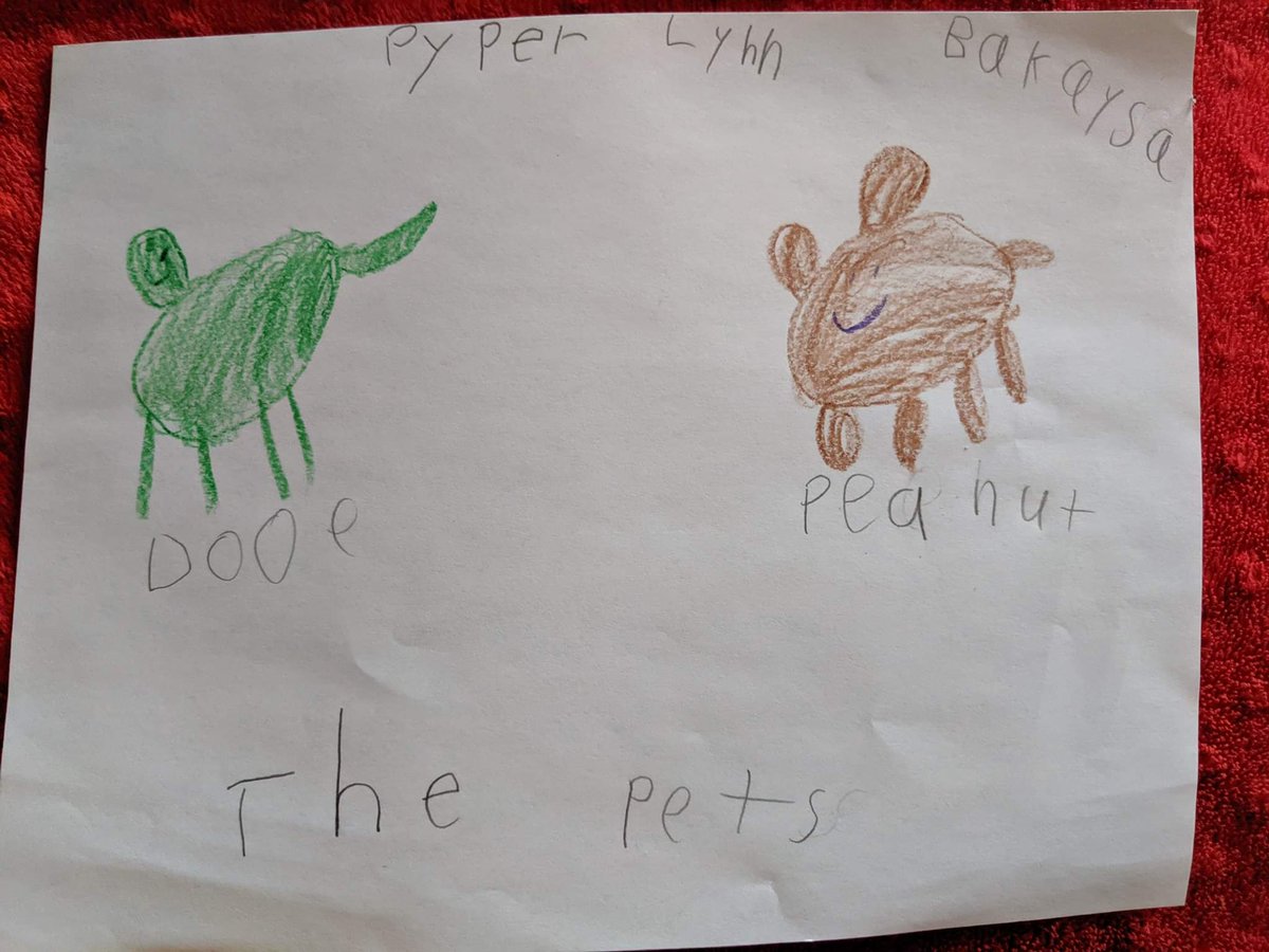 These students drew what they love about MoValley!!!!  <a href="/trtomasko/">Dr. Tracie Tomasko</a> <a href="/JohnZesiger/">Dr. John W. Zesiger</a> <a href="/MV_Knights/">Moshannon Valley SD</a> <a href="/Ms_Elensky_MVES/">Melissa S Elensky</a>
