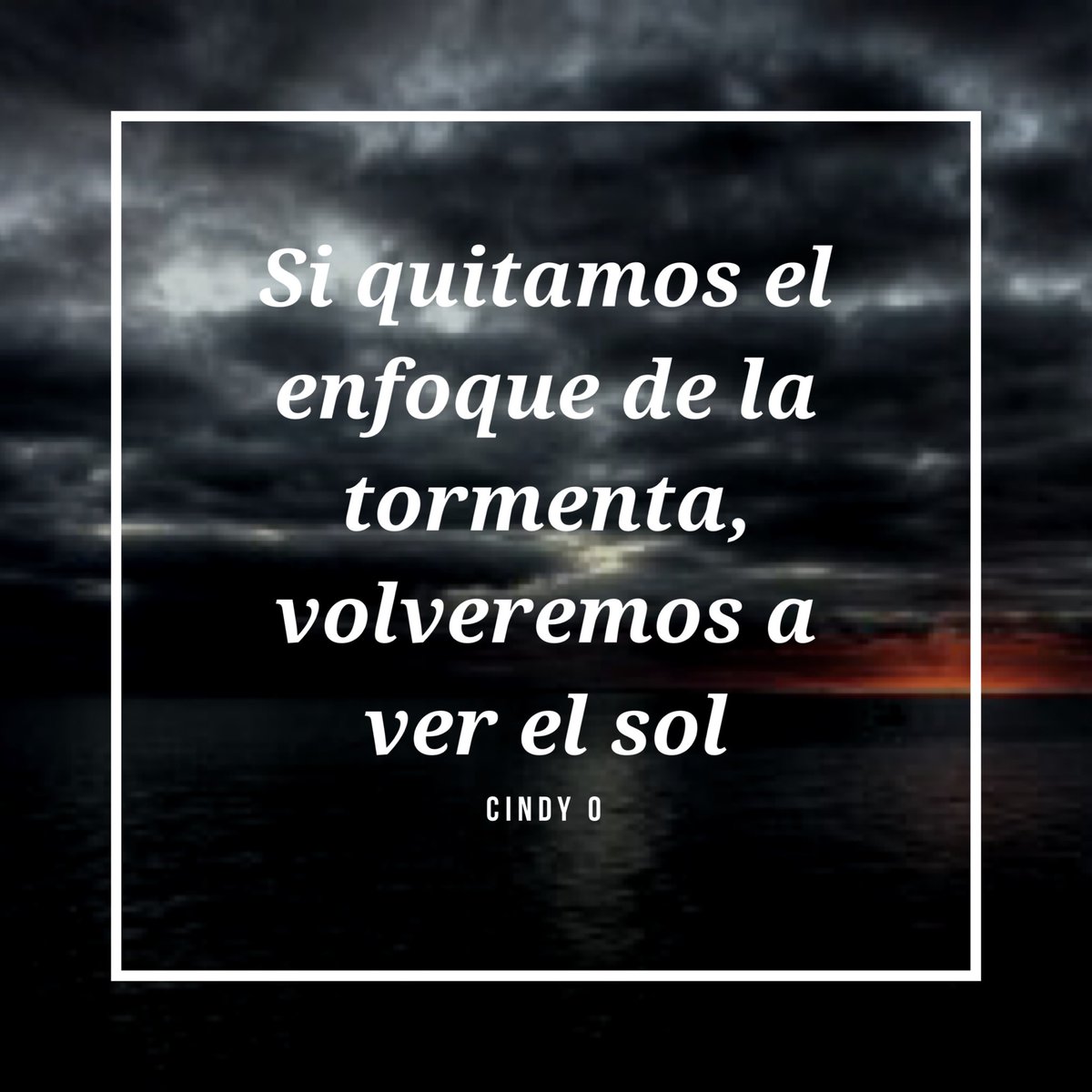 Cindy Ortiz tweet media