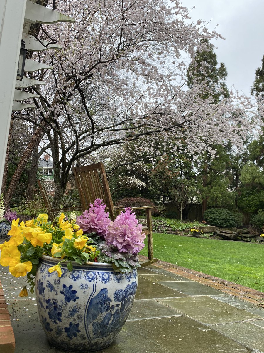 LauraCoxKaplan's tweet photo. Spring is happening.... in spite of #COVIDー19 #SocialDistancing #thankfulforspring @SheSaid2podcast https://t.co/m1tnXttYw0