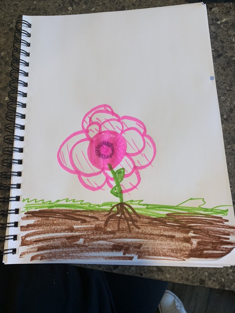 Learning about the parts of flowers and plants in <a href="/MrsHardingPTE/">Sara Harding</a> class today.