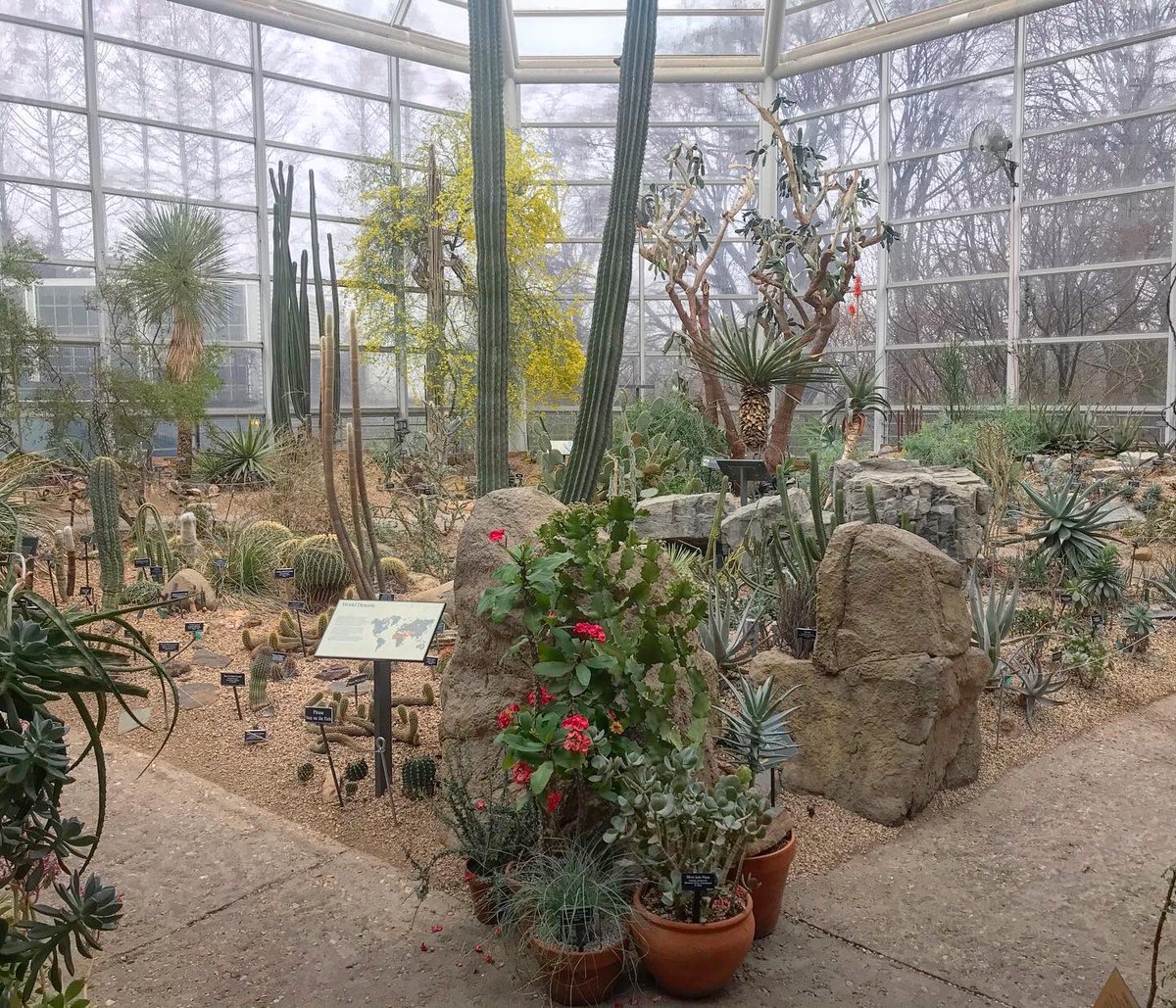 Dave Castro tweet media