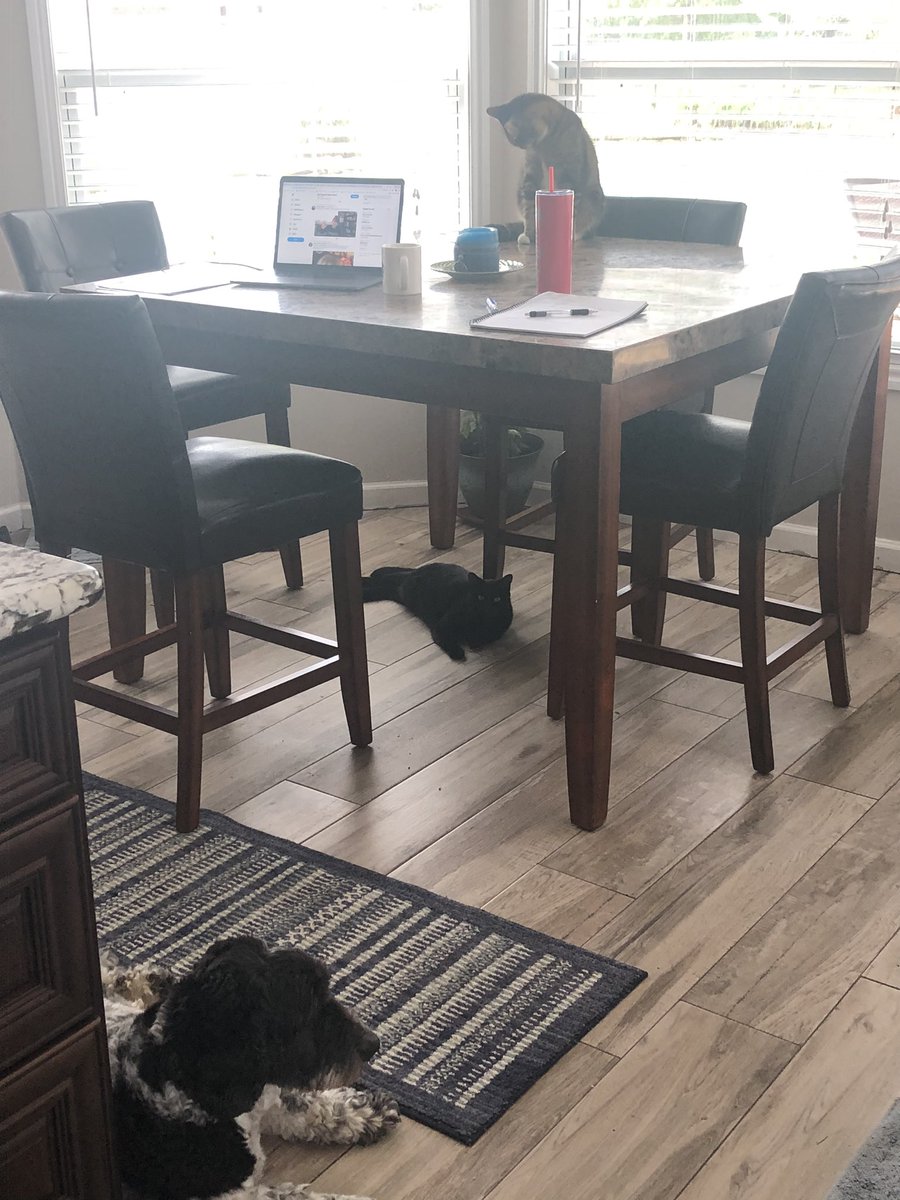 And I thought working from home would be lonely.