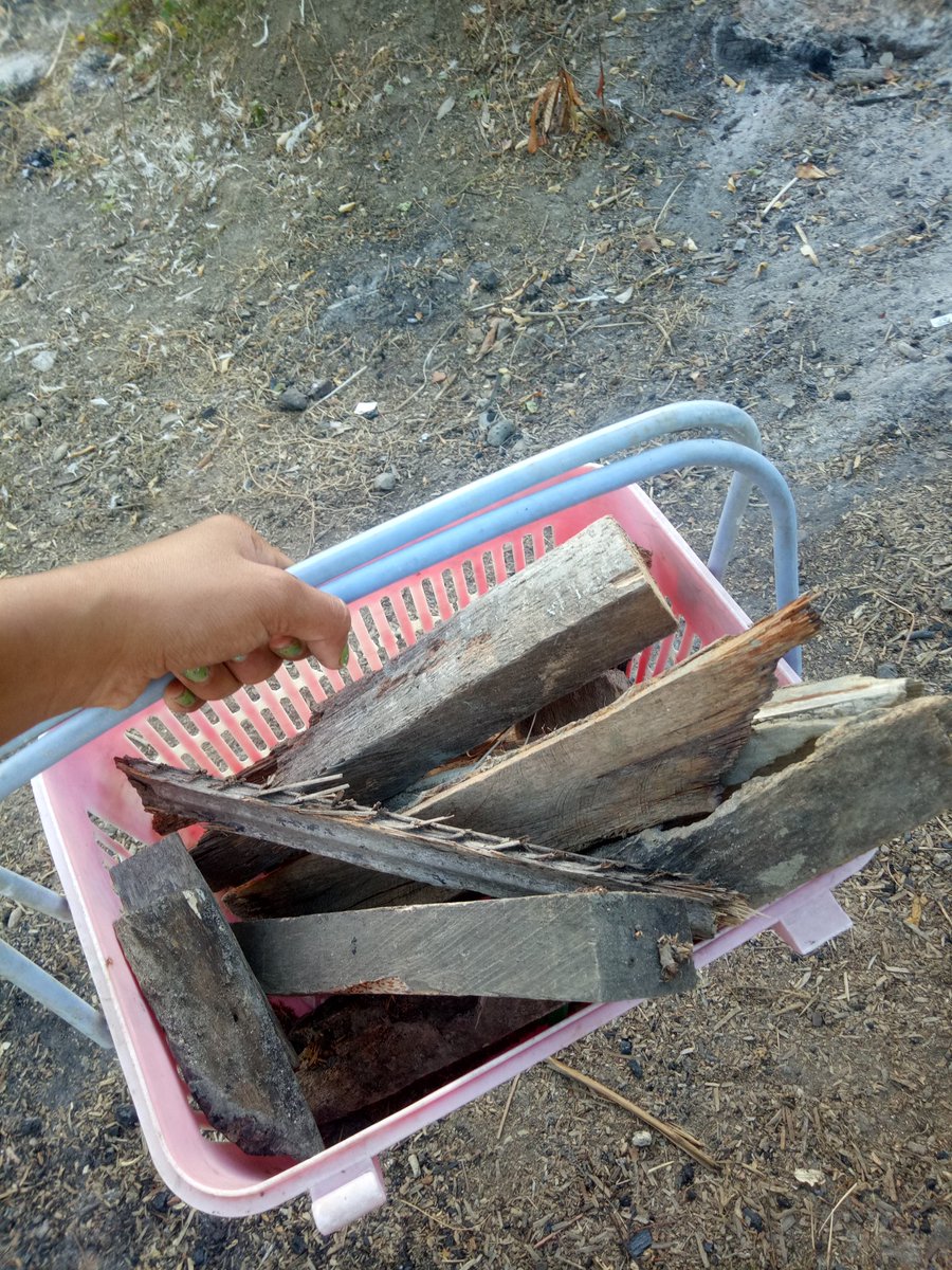 aiviemg's tweet photo. @JeffreeStar 🙋🙋🙋🙋 staying inside the yard and making sure we have enough woods for cooking 😊 https://t.co/v6dJQa5nHi
