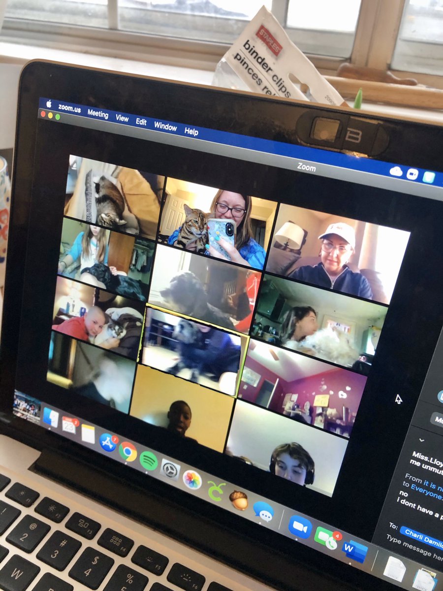 Hannah Lloyd tweet media