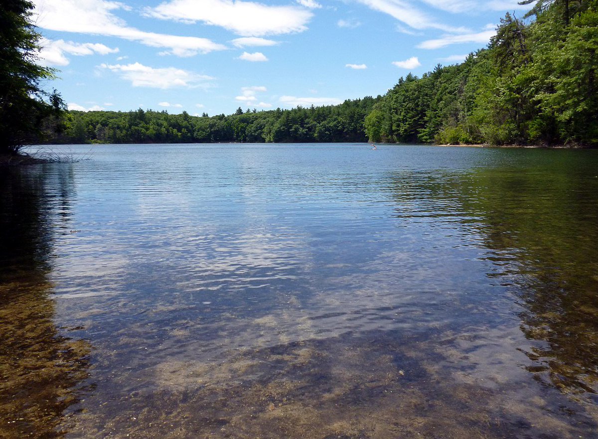 Meanwhile just outside town is Walden Pond, where Thoreau had lived and written his famous book of the same name, thereby inventing nature writing