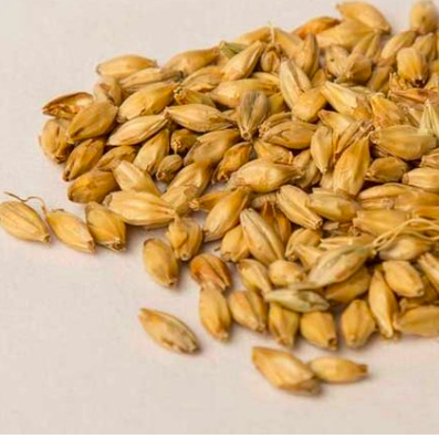 Happy #MaltCrushMonday! Today we're featuring Maltwerks Munich. This malt is slightly dark in appearance with a lightly toasty aroma and flavor. It's perfect for anything amber to dark! 
.
.
.
.
#methodandcraft #maltwerks #drinklocal #iowabeer #mnmalt #premiumingredients