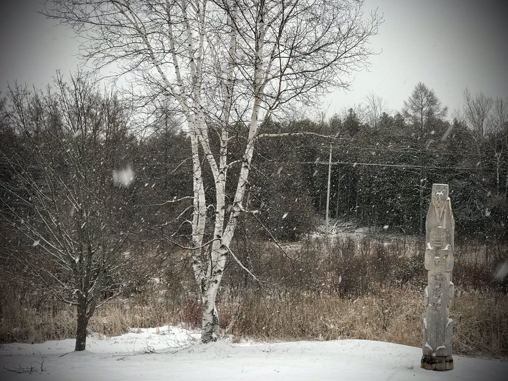 Self quarantine snow in the great white north.