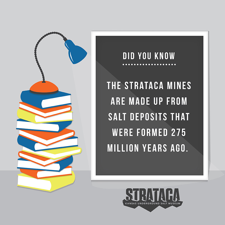 UnderKansas's tweet photo. Did you know?!? 🤔
#UnderKansas https://t.co/KJ8weHlAL5