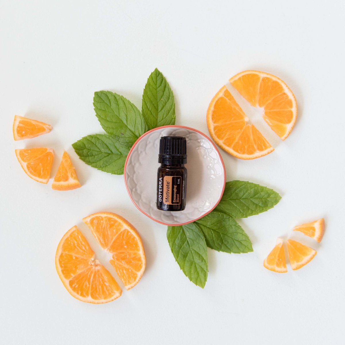 QEssential_Oils's tweet photo. Stay Motivated everyone! What tips do you have for being productive while staying home? https://t.co/P8iJCXVjcA