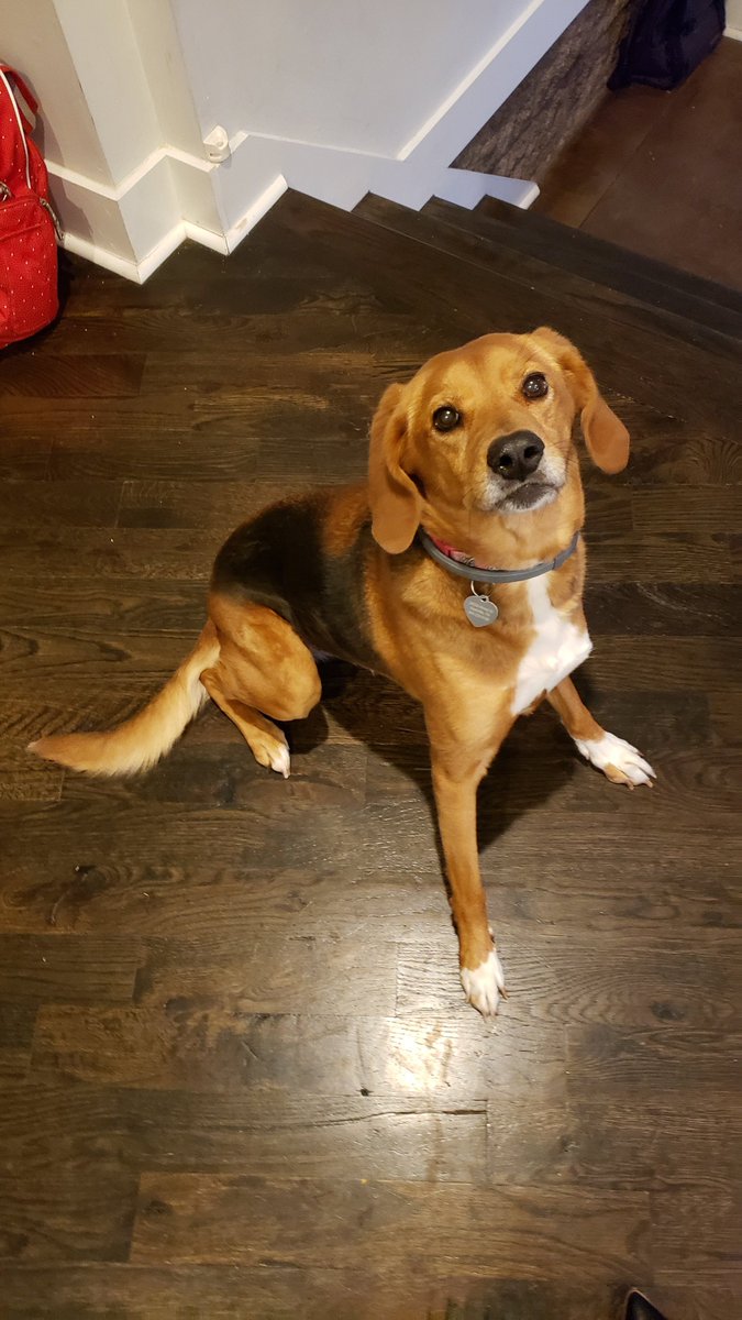 Embold Health tweet media