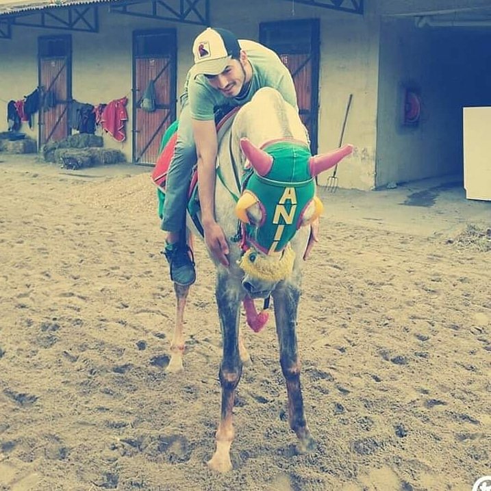 #FarklıAnalizAtlarherseyimiz