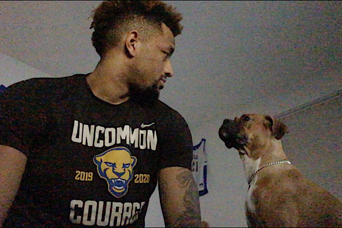 Pitt Panthers tweet media