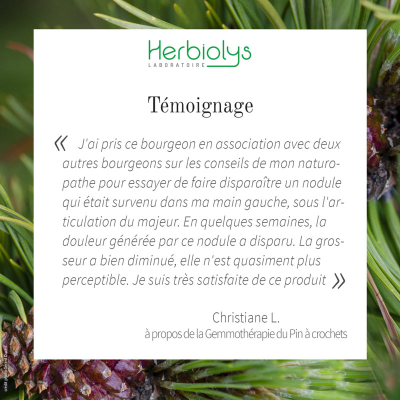 Le bourgeon du Pin à crochets est connu pour soulager les douleurs articulaires, agir sur les os, les cartilages et sur l'immunité. Retrouvez l'avis et le témoignage de Christiane L. à propos de la Gemmothérapie du Pin : ow.ly/YV7650yEyIg
 
#Herbiolys #bio #gemmothérapie