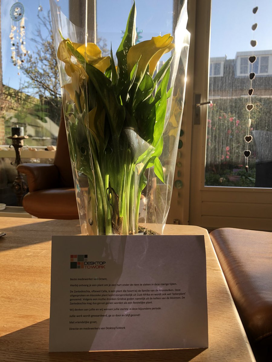 Wat een mooie verrassing voor alle Octantmedewerkers. Hierbij alle bloemen en plantenkwekers heel veel sterkte toegewenst. Het is zeker ook voor jullie een zware tijd.