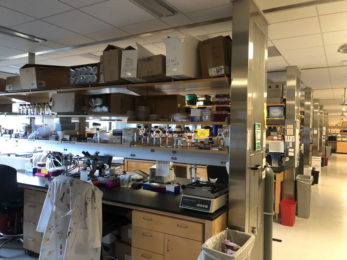 GregDuncs's tweet image. It’s been a long last few weeks but experiments are completed, samples preserved, PPE is donated, data is backed up, and teleworking tools are downloaded. It’s still sad to leave the lab, but hopefully we are back sooner rather than later. Stay healthy everyone! #workingfromhome