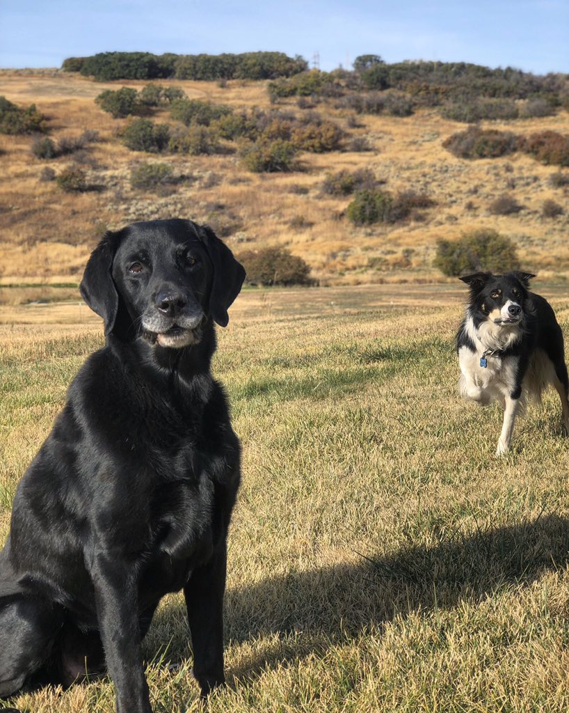 Eric D. Marcotte, D.C. tweet media