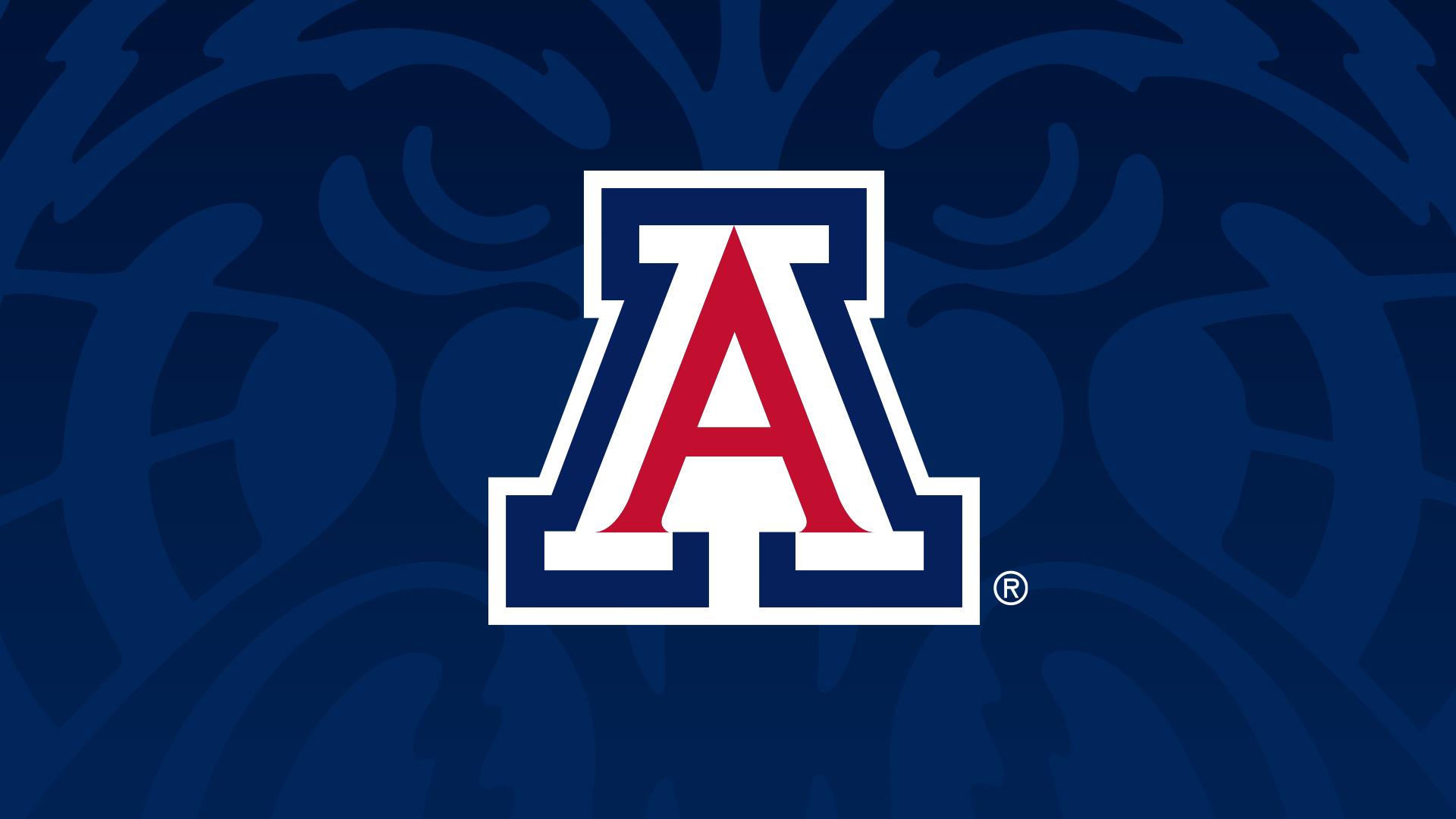 Arizona Athletics on Twitter: "Looking to add some flavor to your ZOOM meetings this week? Try out these backgrounds 😼 🐻⬇ https://t.co/jgkmgKg6cg" / Twitter