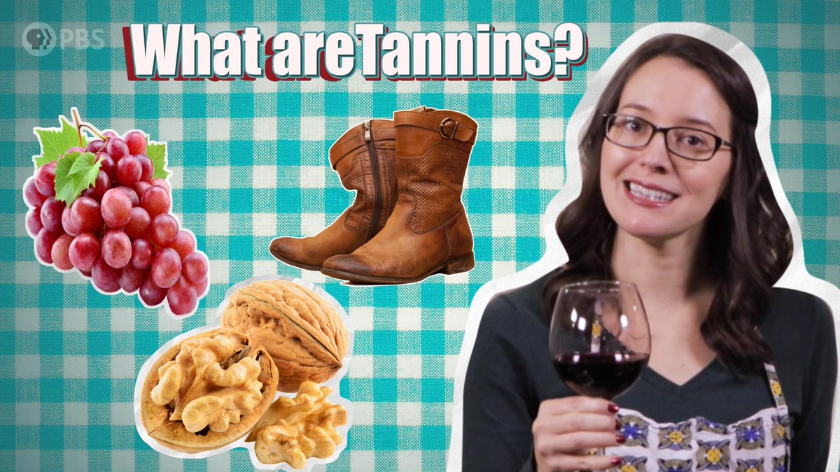 WKAR's tweet photo. Tannins are found in nature, but did you know they also give your wine that dry aftertaste? Find out more with host @Sheril_ on #ServingUpScience! LEARN MORE:https://t.co/TcgBFWlvlS π·π
@PBS @PBSDS @foodatmsu @susielkins @WKARnews @MSUComArtSci @CANRatMSU https://t.co/M2hIY82pRx