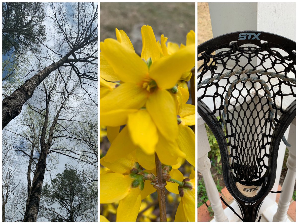 DanielleRobleto's tweet photo. Digital learning, Photo Composition Techniques and Student Photography Submissions. #CobbArtRocks
Focus on leading lines, texture, view point and about me photos. #ProudTeacher https://t.co/ZWkHVpOtze